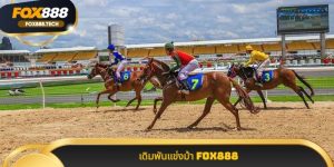 เดิมพันแข่งม้า Fox888 แหล่ง รวม เกม กีฬา ความ เร็ว ระดับ โลก